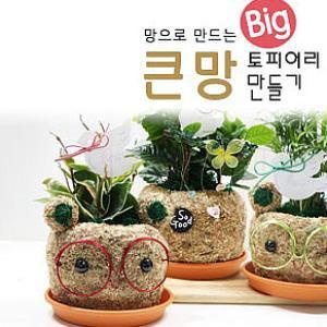 큰망만들기 집콕 DIY체험학습 공기정화식물 토피어리