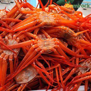 온미락 포항 연지 자숙홍게 2kg(7~9미) 고급 A급 수율 90%내외