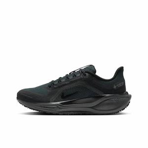 나이키 페가수스 41 GORE-TEX 남성 워터프루프 로드 러닝화 FQ1356-001