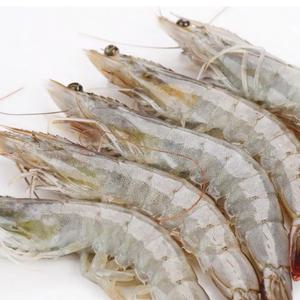 냉동 흰다리새우 500g 25미소금구이용 간장새우장용 해물