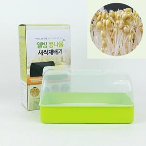 콩나물 새싹 재배기 시루 미니 텃밭 재배 키트 가정용 채소 키우기