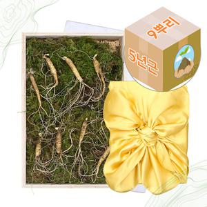 D-Farm 국내산 산양산삼 산양삼 5년근 정품 9주