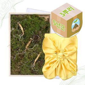 D-Farm 국내산 산양산삼 산양삼 5년근 정품 3주