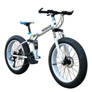 접이식 산악 자전거 광폭타이어 MTB 자전거 펫바이크