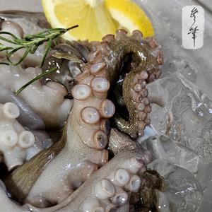 무화 최상급 통영 자연산 활 돌문어 1kg (1~4미)
