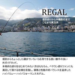 레저 낚싯대 다이와DAIWA 이소 장 방파제 리갈 1.53호