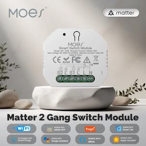 투야 스마트봇MOES Tuya Matter WiFi 스위치 모듈 2 Gang 스마트 자동화 릴레이 타이머 App  제어 Alexa Go