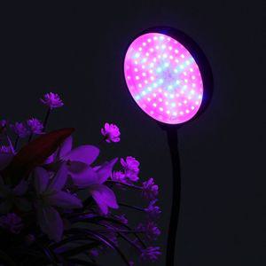 쑥쑥 광합성 LED 식물등(헤드형) (블루+레드)꽃조명 장식용등 인테리어등 광합성등 식물등 원예 원예등 조
