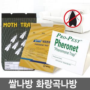 화랑곡나방 트랩 쌀나방 쌀벌레 퇴치 퇴치법 페로몬 유인 끈끈이