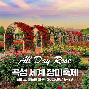 [전남] 2025 곡성 장미축제&기차마을+ 남원 서도역(미스터선샤인촬영지)+광한루원 당일여행 / 서울경기出