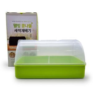 웰빙 콩나물 새싹재배기(투명돔) 애완 식물 키우기 베란다텃밭