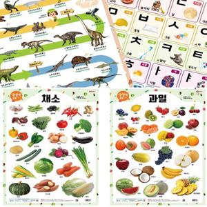 유아 어린이 양면학습벽보 양면학습포스터 과일 채소 공룡 가나다 알파벳 숫자