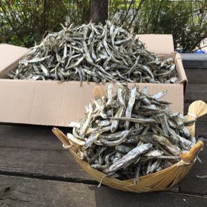 직접생산 햇 안주용 고바멸치 (상급) 300g 500g 1kg 1.5kg / 안주 조림 볶음 국물 건 마른 소 멸치 건어물