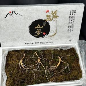 산양삼 20년산 이상 5뿌리+가족삼 3뿌리+엑기스1포 산삼 설 추석 선물세트