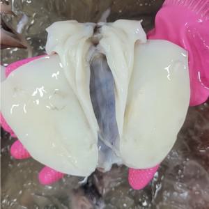 싱싱햇 냉동 손질 갑오징어 급냉 오징어 1kg