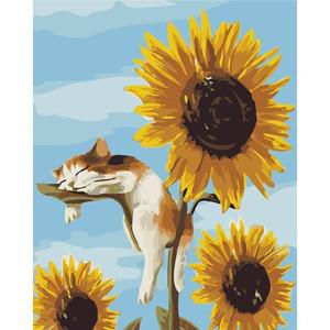A-312 DIY 40x50 해바라기 명화 쉬운 유화그리기 고양이