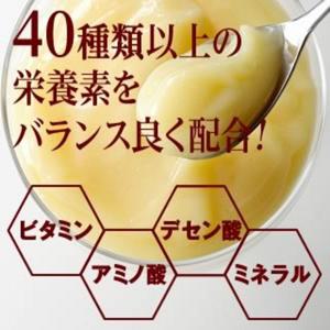 로얄 젤리 1200 벌 귀비 유익한 10 봉지 세트 데센 산 삼림