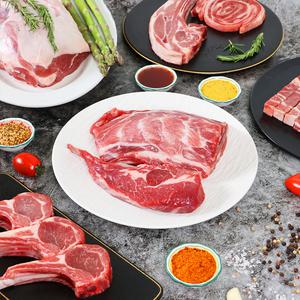 양의나라 양고기 모음 양꼬치 양삼겹살 양숄더랙 양프렌치랙 양갈비 외 냉장 냉동 캠핑고기 12개월 미만 청정 A++ 램