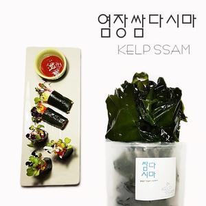 염장 쌈다시마 5kg 1봉
