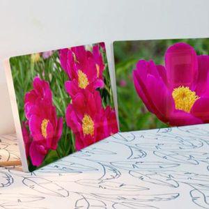 [핫트랙스]ta851-폼아크릴액자38CmX18Cm_풍수붉은빛모란꽃