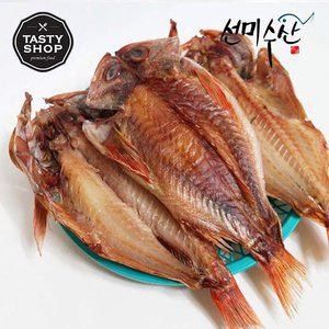 속초 중앙시장 맛집 반건조 볼락 30cm 2마리