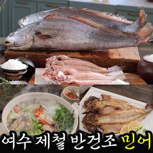 여수 제철 반건조 통민어 할복민어 대자 특대 10미 세트 국내산 100% 여수 수협 중매인 직수매