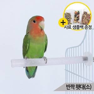 올블루 반짝 발톱갈이 횃대(소) 소형 앵무새 횟대 장난감