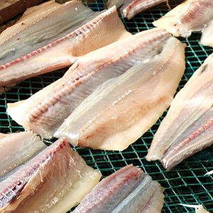 [기타]남해안 여수 반건조 손질 삼치 10마리 3kg 내외 특대 ( 개당 300g 27cm 내외 )