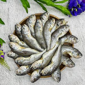국내산 냉동 연안 반건조 참조기 20미 15~18cm (푸드)