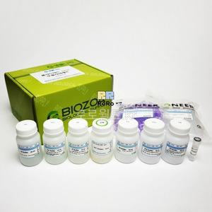 플라스미드 대장균 (플라스미드 DNA 추출용)/생물 과학 실험 재료