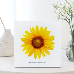 열도자 미니 해바라기 사진 오리진 WHITE