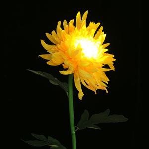 국화 LED 태양광 꽃정원등 옐로우 솔라가든