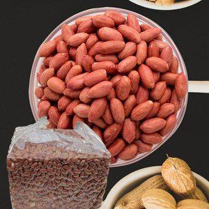 VDHD 아침미소 볶음땅콩 3.75kg (WFGI8WZ)