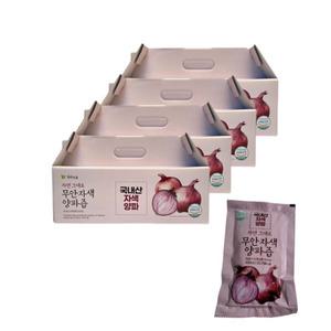 자연식품 무안 자색양파즙 100ml 140포