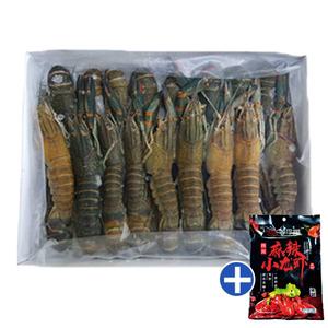 마라 롱샤 냉동 민물가 재 1kg 25미이상 소스포함 샹궈소스 크래이피쉬 상궈소스 세트 룽샤가재