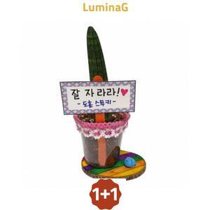 1+1 만들기 스투키 레이스화분 mk