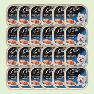 시저 강아지 습식캔 쇠고기와 참치 100g 24개(box)