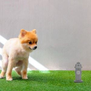 소변 애완 공급 개 기차 메쉬 동물 열 화장실 액세서리 포스트 케이지 스플래시 변기
