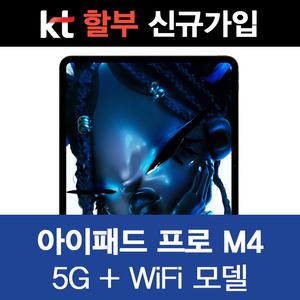 KT 아이패드 프로 11 2T 실버 5G 셀룰러 통신사 분납 