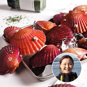 [롯데백화점]맛딜 산지직송! 쫄깃달콤 통영 홍 가리비 1kg
