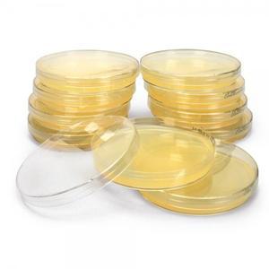 일반세균 배양 보전용 보통한천배지(NA) 90mm 연구실 실험수업 홈스쿨링