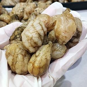 마산 진동 오만둥이 1kg 90미내외 생물 오만둥이 회 오만디 오만득이 마산 오만둥이 된장찌개 재료 미역국