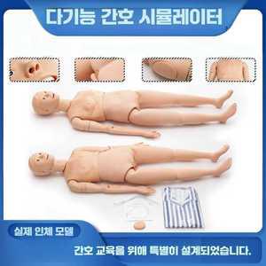간호실습모형 실습용 인체 관절 더미 간병인 교육용