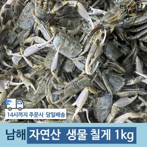 남해 자연산 생물 칠게 1kg