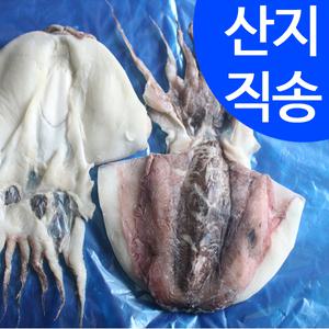 [임피수산]반건조 갑오징어 1마리(대 23cm)
