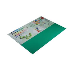 종이문화 (120g색지)뉴씨플레인A3 (10매) 297x420mm
