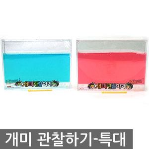 우야몰 개미관찰하기 특대 개미 관찰 키우기 탐구 학습 과학 기르기 영재시리즈 우주실험