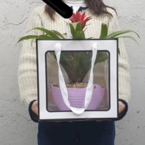 투명창문 정사각쇼핑백 손잡이형케이크종이가방 대량 대형