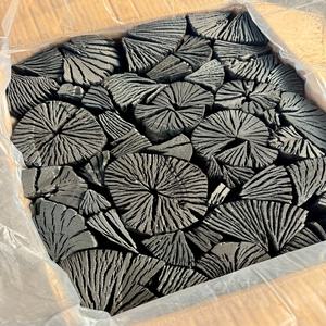 오케이 참숯 삼단숯 봉지숯 20kg 대용량 캠핑 숯불 바베큐 구이용 펜션
