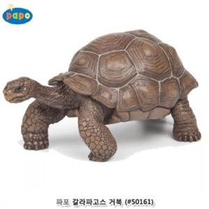 파포 (모형 완구) 갈라파고스 거북/성인용/피규어/바다/거북이/모형/동물/프라모델/인형/아동/장난감/